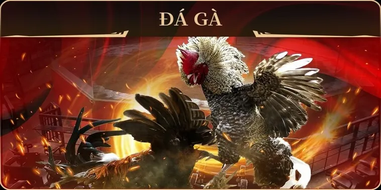 Cách Chơi Đá Gà GA28 Tại 188Bet Dễ Thắng Và Giải Trí Tuyệt Vời